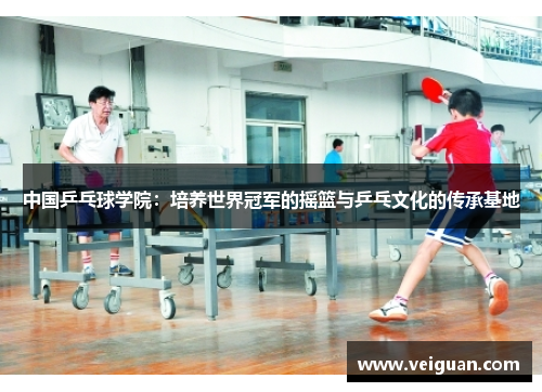 中国乒乓球学院：培养世界冠军的摇篮与乒乓文化的传承基地
