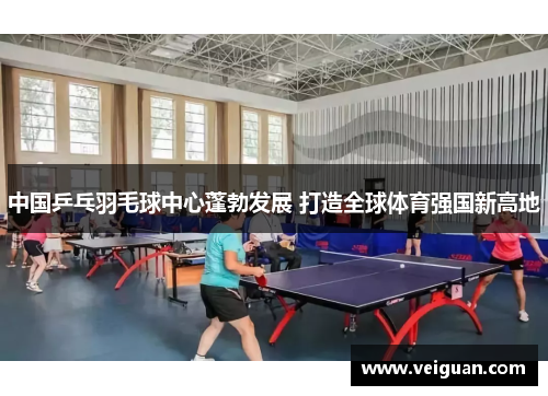 中国乒乓羽毛球中心蓬勃发展 打造全球体育强国新高地 中国乒乓羽毛球中心蓬勃发展 打造全球体育强国新高地