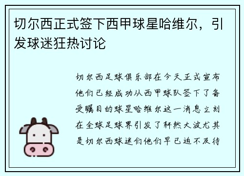 切尔西正式签下西甲球星哈维尔，引发球迷狂热讨论