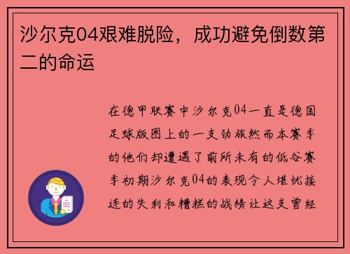 沙尔克04艰难脱险，成功避免倒数第二的命运